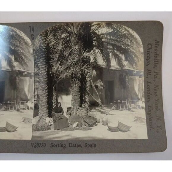Lady Sorting Dates in Spain Keystone Stereoview - Picture 3 of 8
